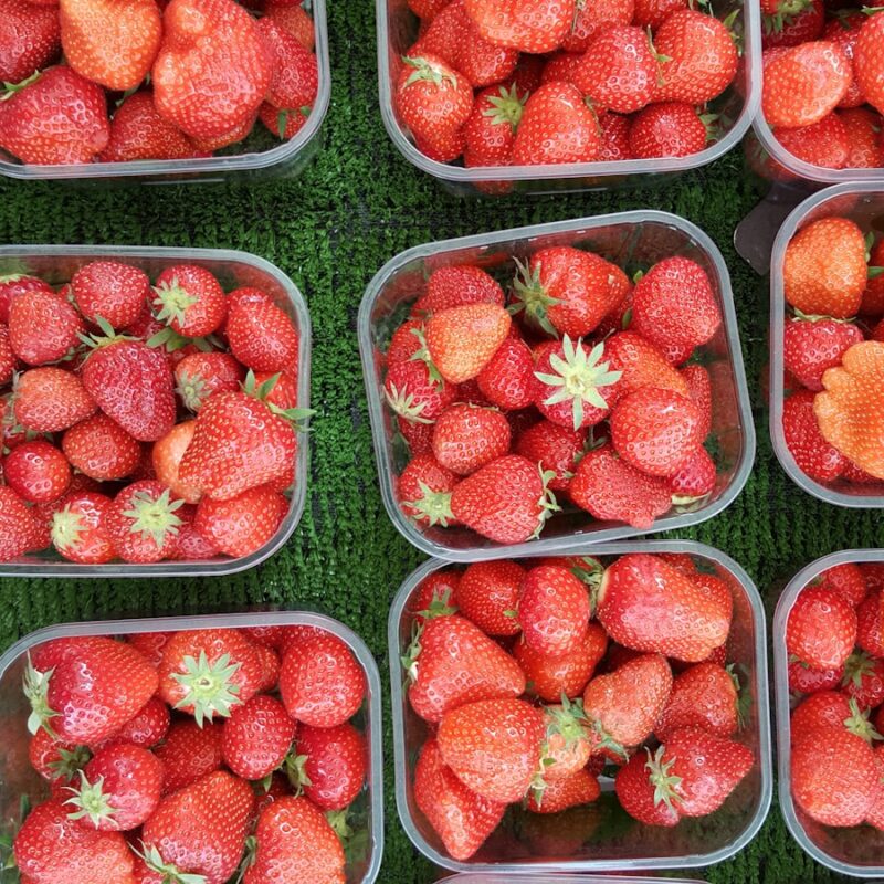 strawberries in clear pack lot